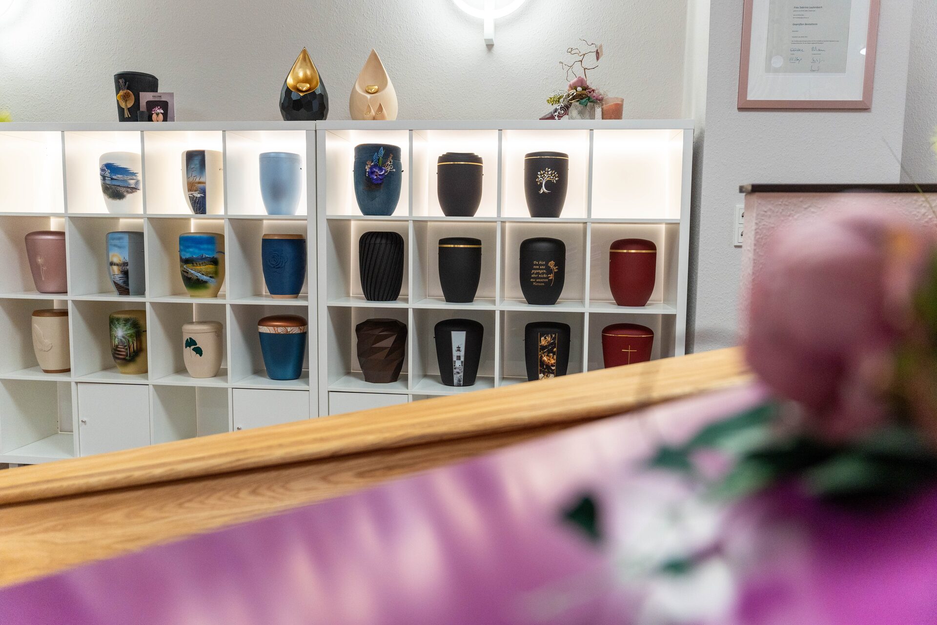 Organisation & Planung